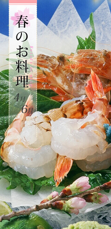 春の料理・料金