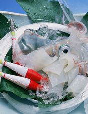 夏の料理・料金