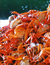 秋の料理・料金