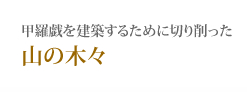 甲羅戯を建築するために切り削った山の木々