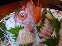 地魚の活け造り付き　桜えびとかにの春プラン