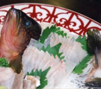 甲羅戯おまかせ春プラン