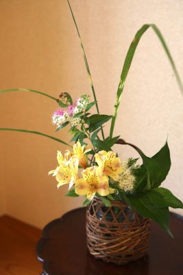 甲羅戯の華