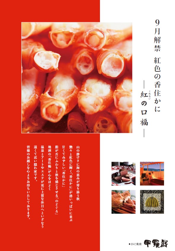 2025aki11